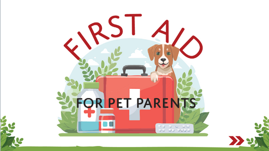 Microlearning: First Aid For Pet Parents